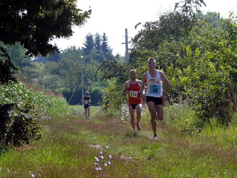 Datei:9. Crosslauf - Bild 1.jpg