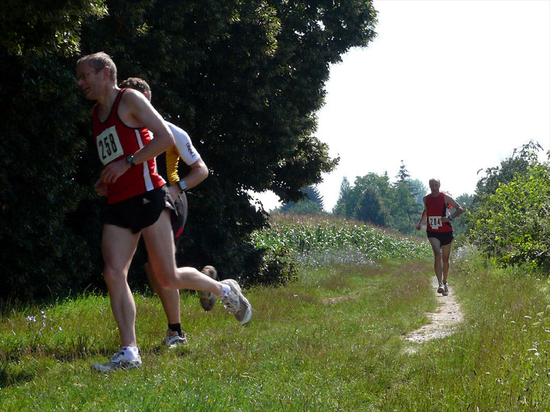 Datei:9. Crosslauf - Bild 17.jpg