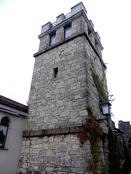 Datei:Vereinsfahrt 2011 - Bismarckturm Naumburg.jpg